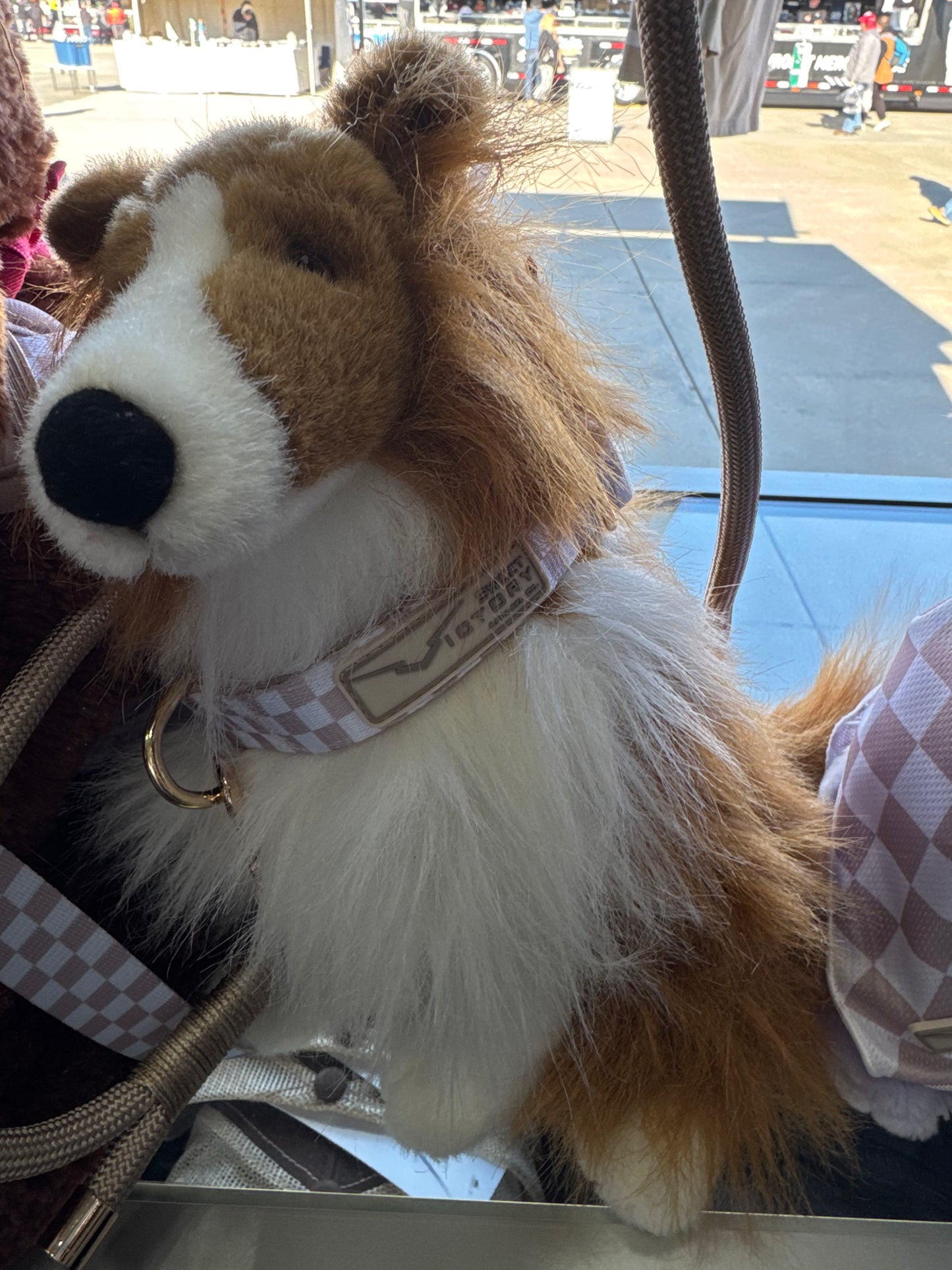 Creme Checkered Dog Collar