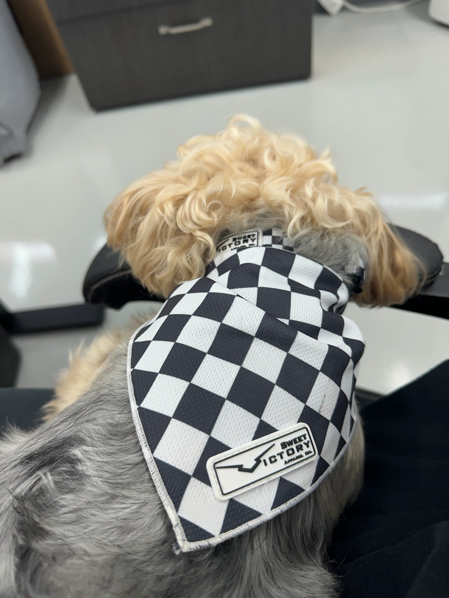 Black Checkered Dog Bandana