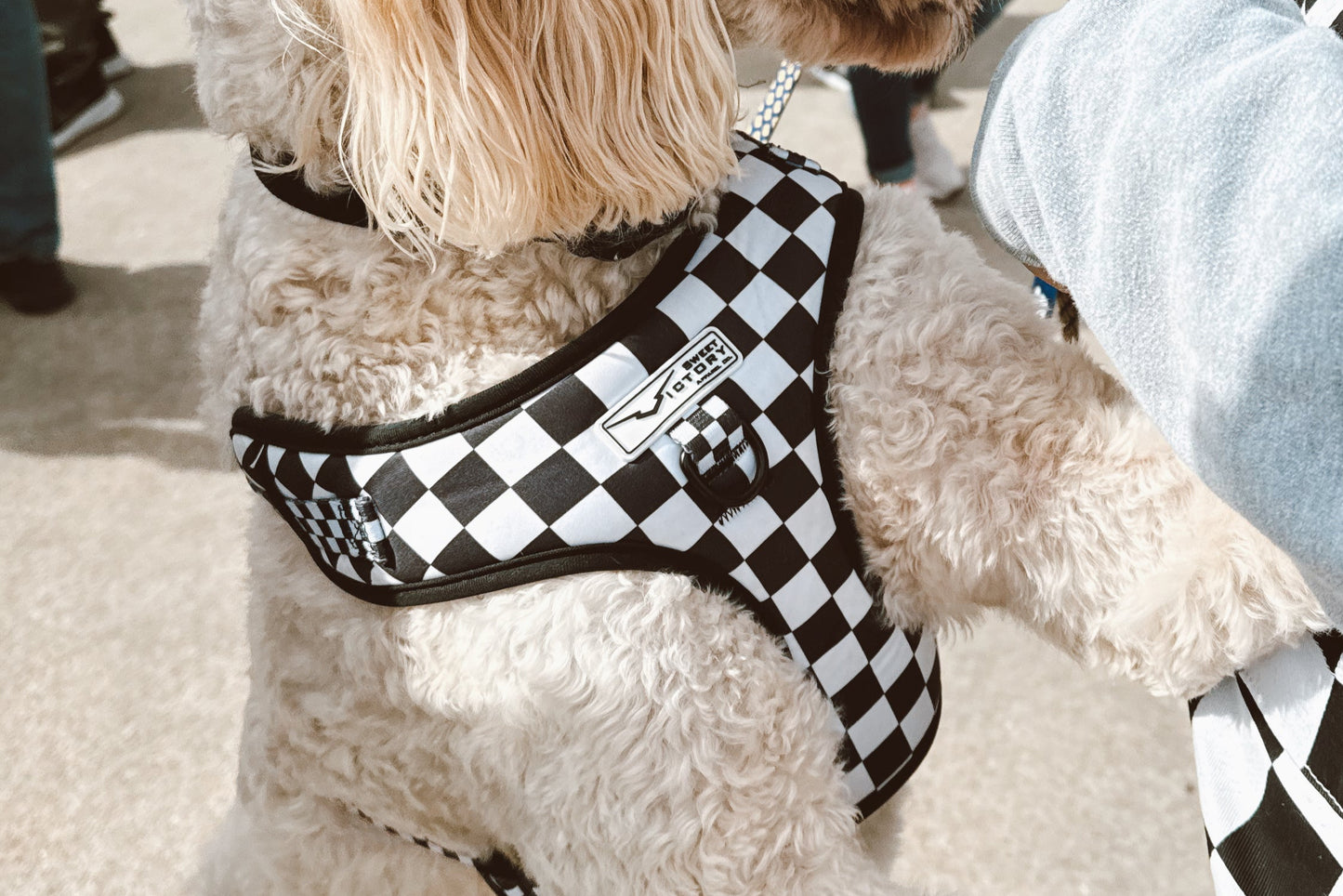 Black Checkered Dog Harness