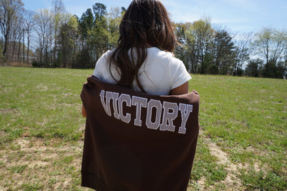 Brown Striped Mockneck Sweatshirt