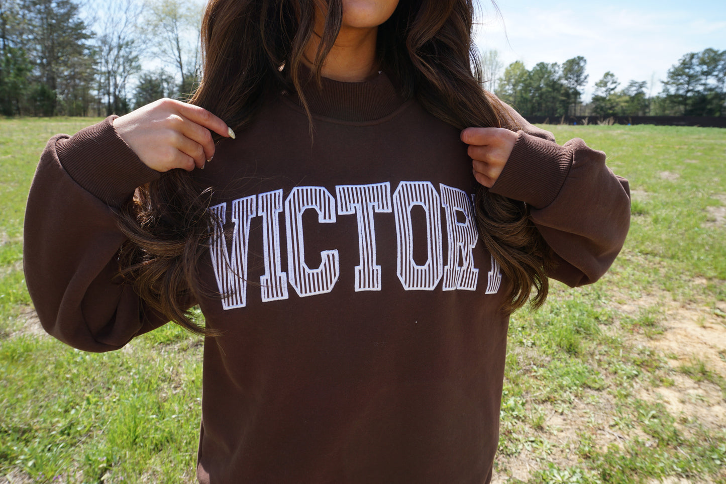 Brown Striped Mockneck Sweatshirt