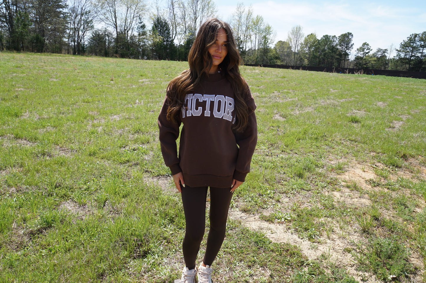 Brown Striped Mockneck Sweatshirt