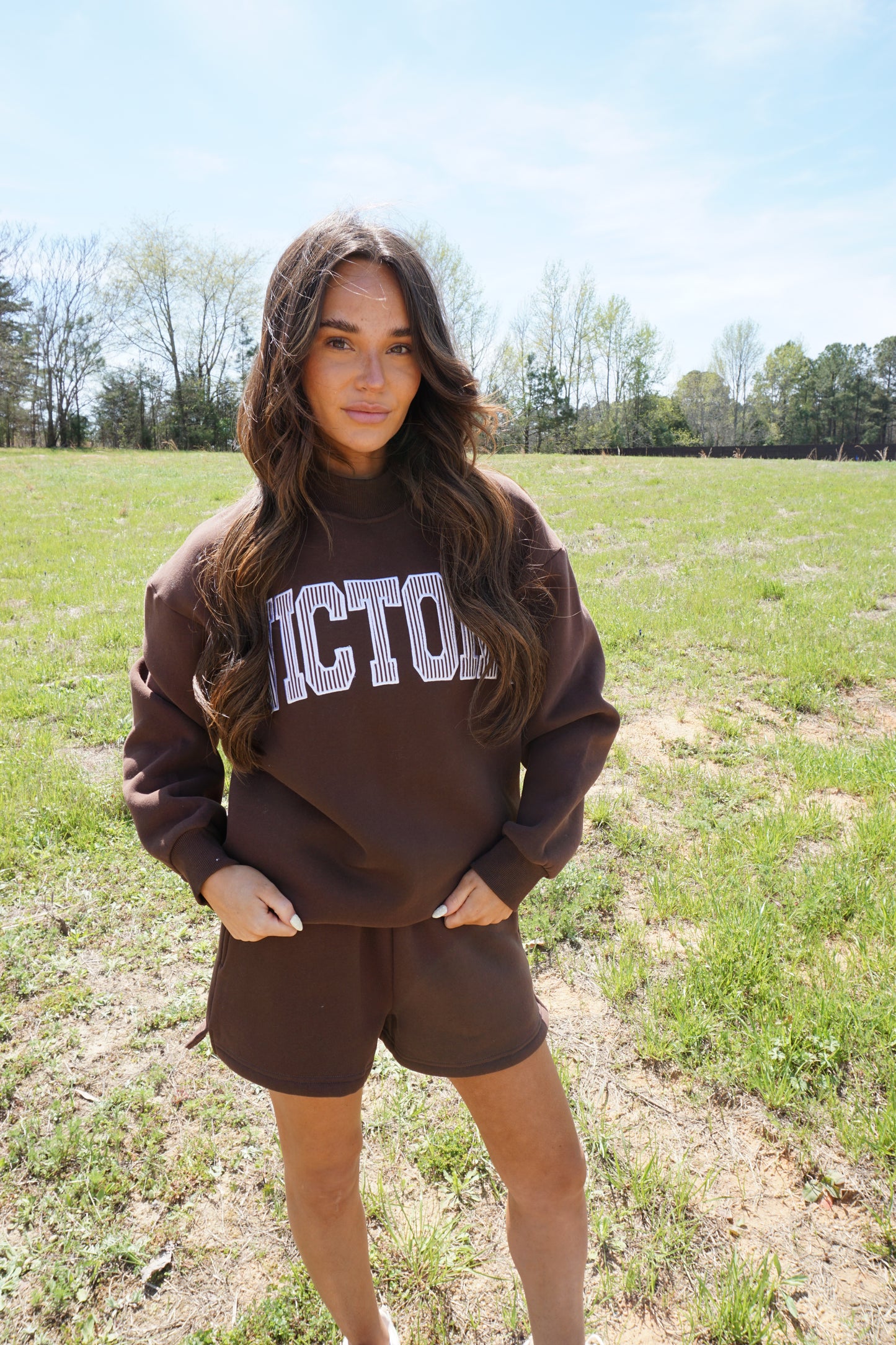 Brown Striped Mockneck Sweatshirt