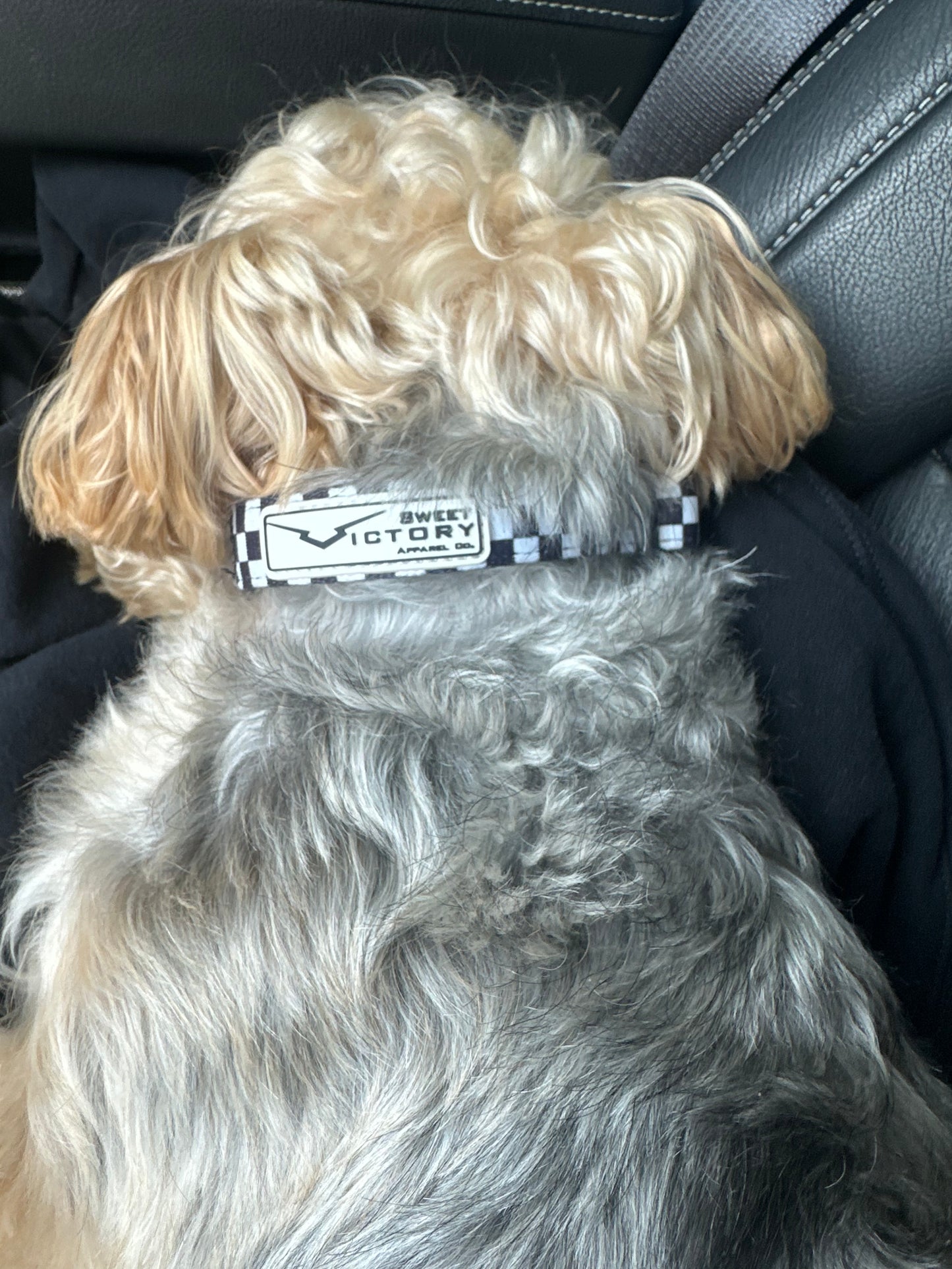 Black Checkered Dog Collar
