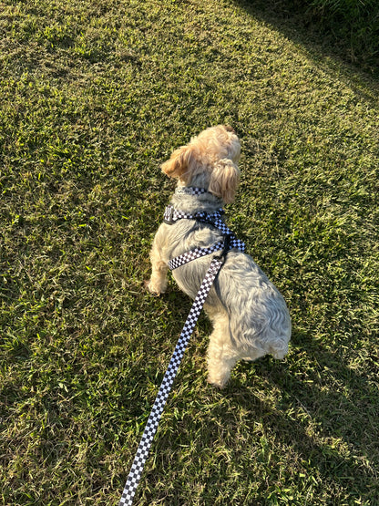 Black Checkered Dog Leash