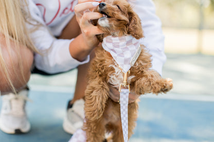Creme Checkered Dog Bandana