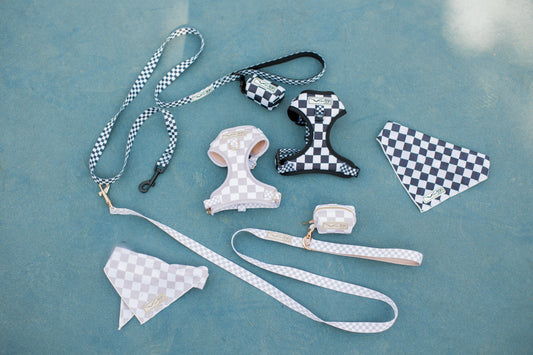Black Checkered Dog Leash